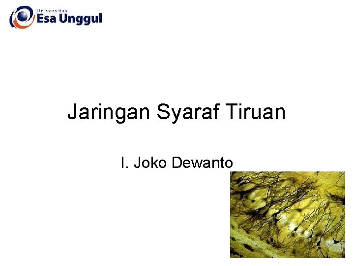 Jaringan Syaraf Tiruan I. Joko Dewanto 