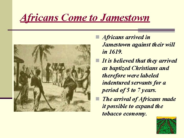 Africans Come to Jamestown n Africans arrived in Jamestown against their will in 1619.