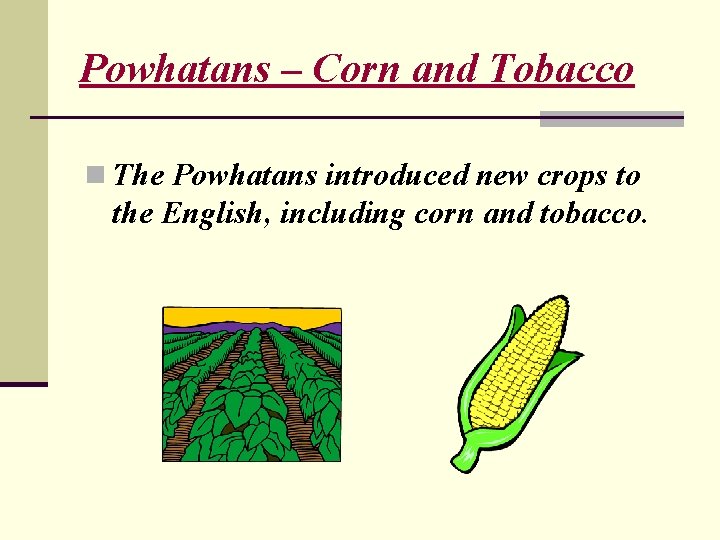 Powhatans – Corn and Tobacco n The Powhatans introduced new crops to the English,