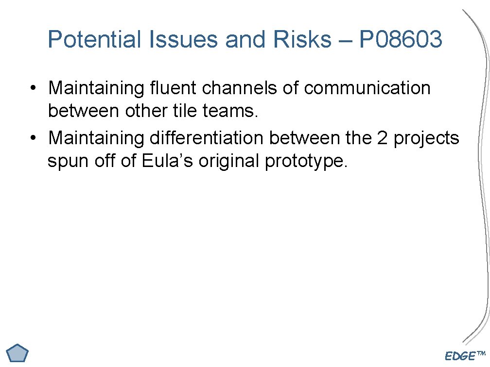 Potential Issues and Risks – P 08603 • Maintaining fluent channels of communication between