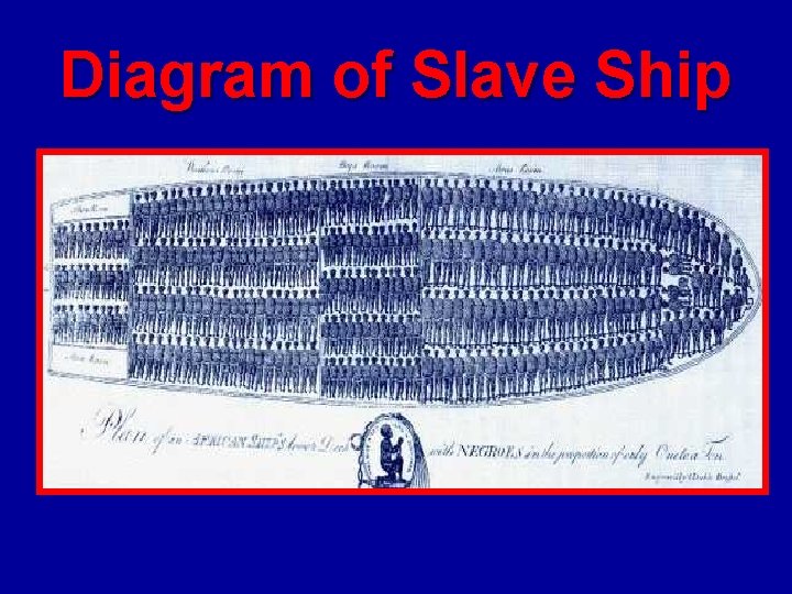 Diagram of Slave Ship 