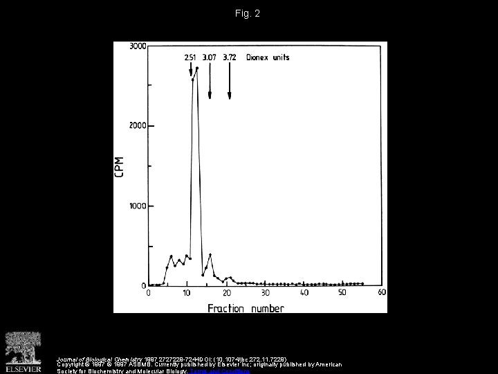 Fig. 2 Journal of Biological Chemistry 1997 2727229 -7244 DOI: (10. 1074/jbc. 272. 11.