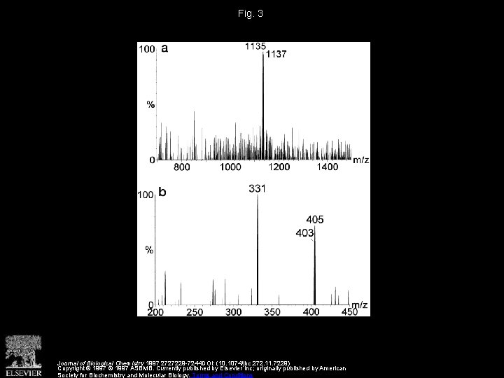 Fig. 3 Journal of Biological Chemistry 1997 2727229 -7244 DOI: (10. 1074/jbc. 272. 11.