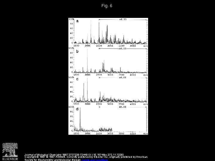 Fig. 6 Journal of Biological Chemistry 1997 2727229 -7244 DOI: (10. 1074/jbc. 272. 11.