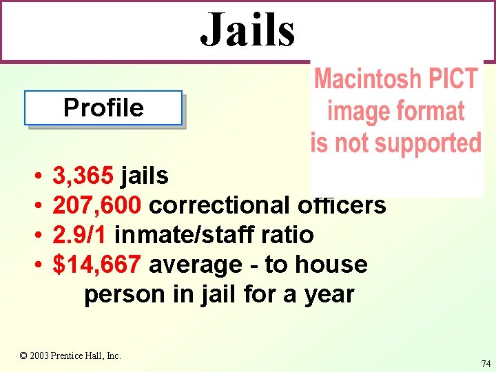 Jails Profile • • 3, 365 jails 207, 600 correctional officers 2. 9/1 inmate/staff