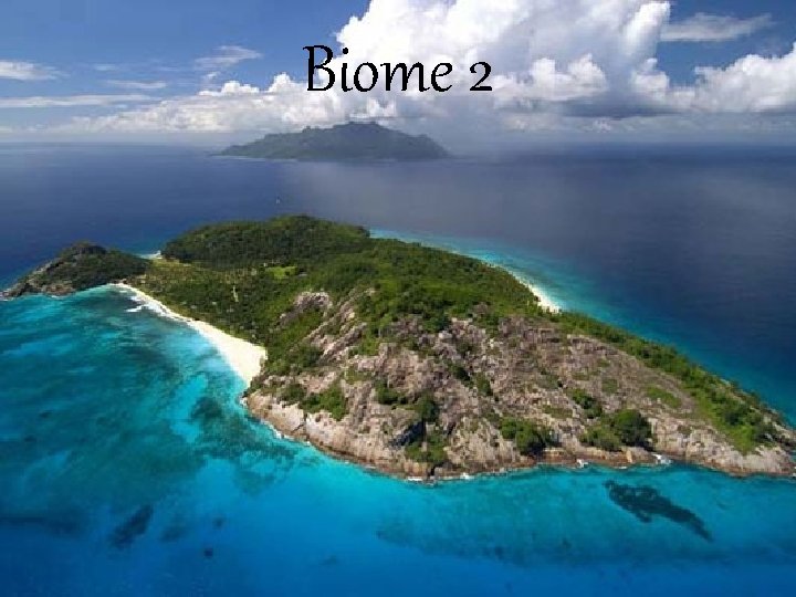 Introduction To Biomes Biomes are classified according to