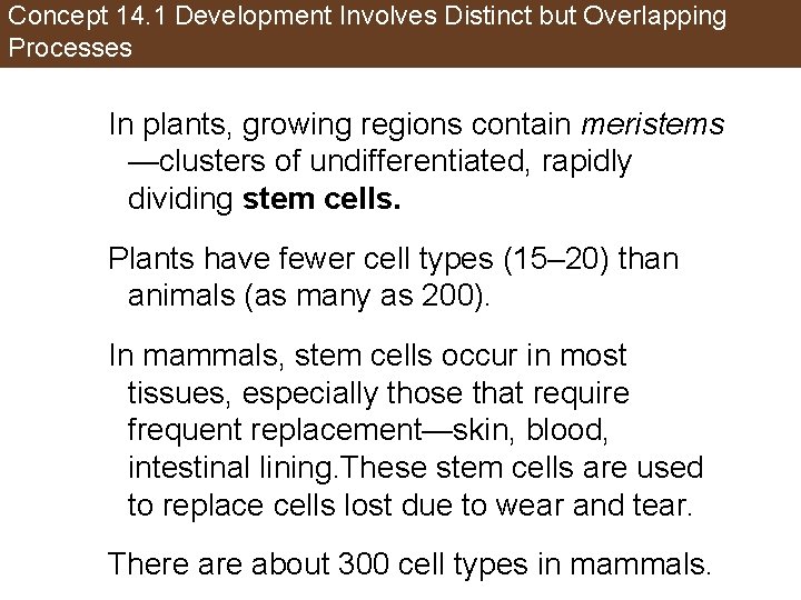Concept 14. 1 Development Involves Distinct but Overlapping Processes In plants, growing regions contain