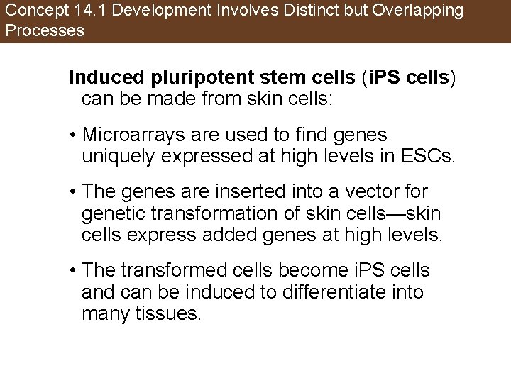 Concept 14. 1 Development Involves Distinct but Overlapping Processes Induced pluripotent stem cells (i.
