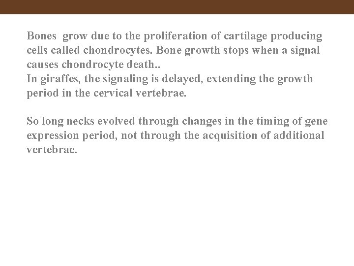 Bones grow due to the proliferation of cartilage producing cells called chondrocytes. Bone growth