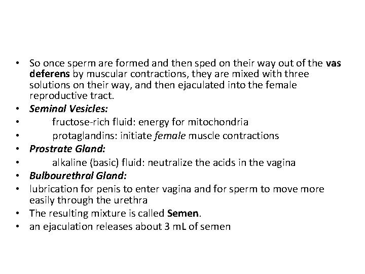  • So once sperm are formed and then sped on their way out