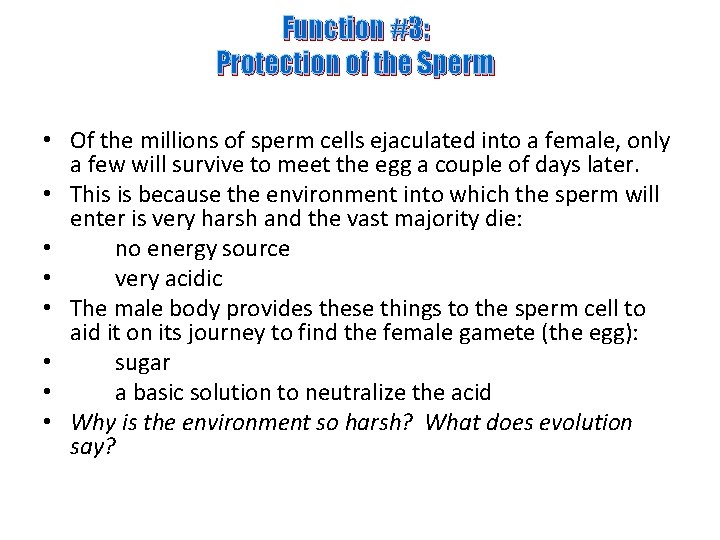 Function #3: Protection of the Sperm • Of the millions of sperm cells ejaculated