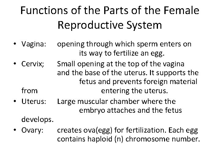 Functions of the Parts of the Female Reproductive System • Vagina: • Cervix; from