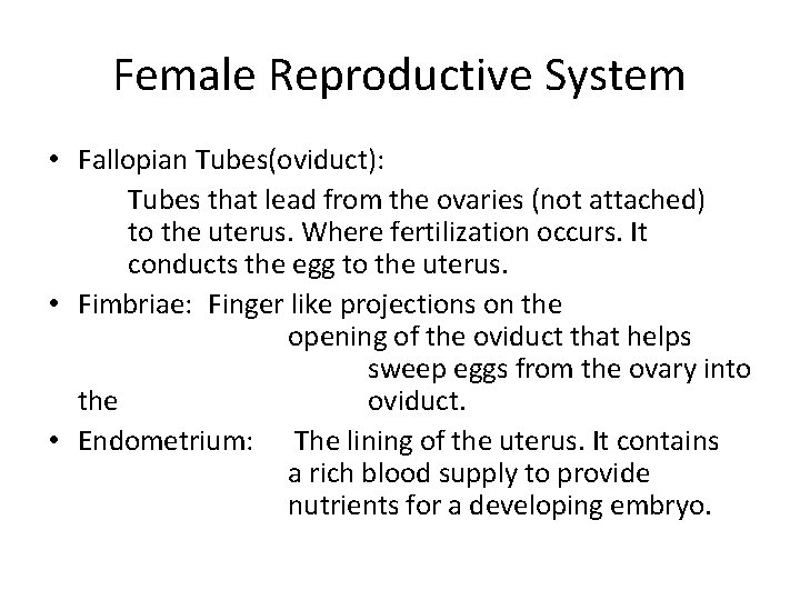 Female Reproductive System • Fallopian Tubes(oviduct): Tubes that lead from the ovaries (not attached)