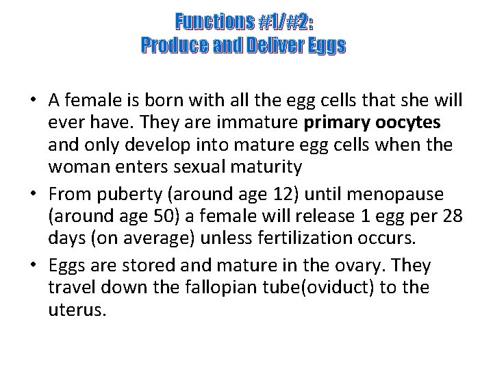 Functions #1/#2: Produce and Deliver Eggs • A female is born with all the