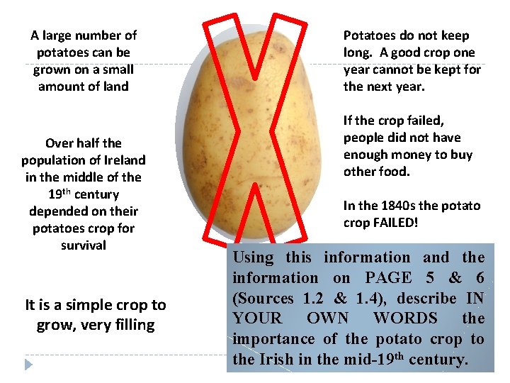 A large number of potatoes can be grown on a small amount of land