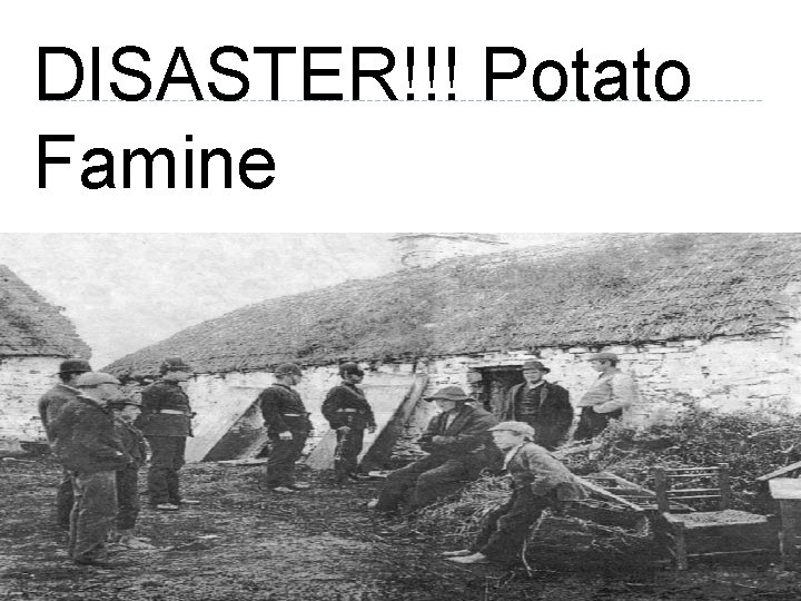 DISASTER!!! Potato Famine 