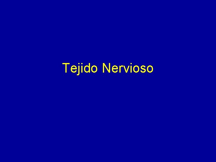 Tejido Nervioso 