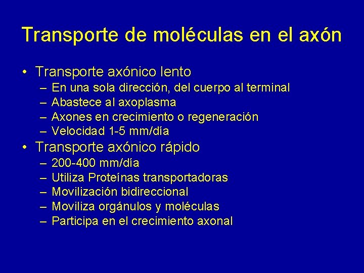 Transporte de moléculas en el axón • Transporte axónico lento – – En una