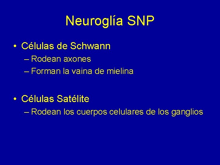 Neuroglía SNP • Células de Schwann – Rodean axones – Forman la vaina de