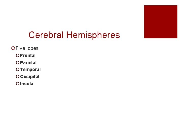Cerebral Hemispheres ¡Five lobes ¡ Frontal ¡ Parietal ¡ Temporal ¡ Occipital ¡ Insula