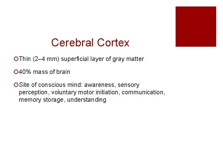 Cerebral Cortex ¡Thin (2– 4 mm) superficial layer of gray matter ¡ 40% mass