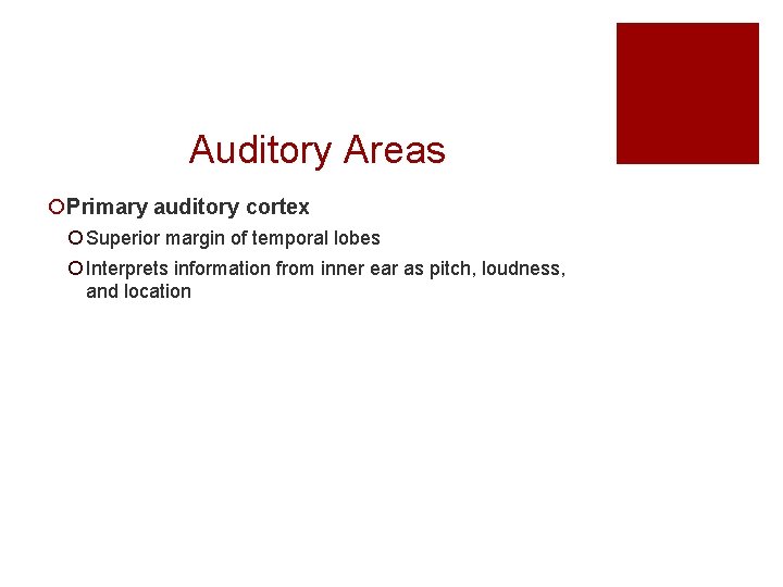 Auditory Areas ¡Primary auditory cortex ¡ Superior margin of temporal lobes ¡ Interprets information