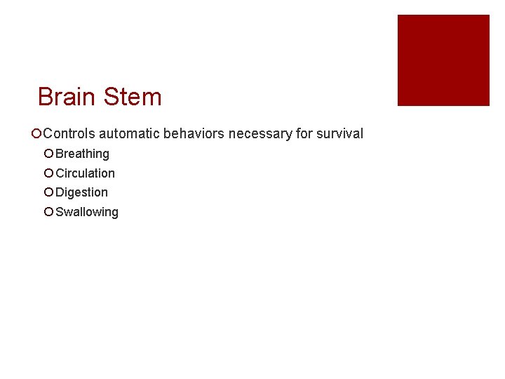 Brain Stem ¡Controls automatic behaviors necessary for survival ¡ Breathing ¡ Circulation ¡ Digestion