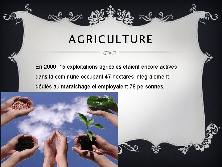 AGRICULTURE En 2000, 15 exploitations agricoles étaient encore actives dans la commune occupant 47