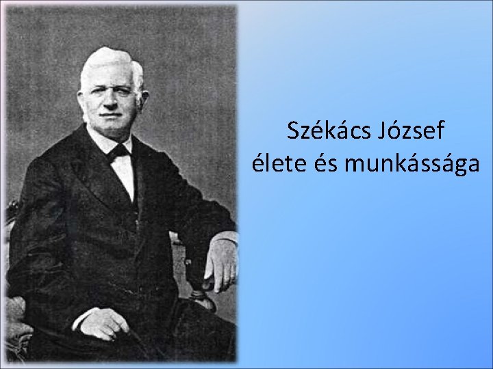 Székács József élete és munkássága 