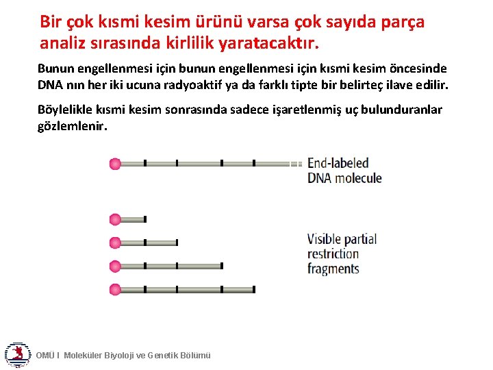 Bir çok kısmi kesim ürünü varsa çok sayıda parça analiz sırasında kirlilik yaratacaktır. Bunun