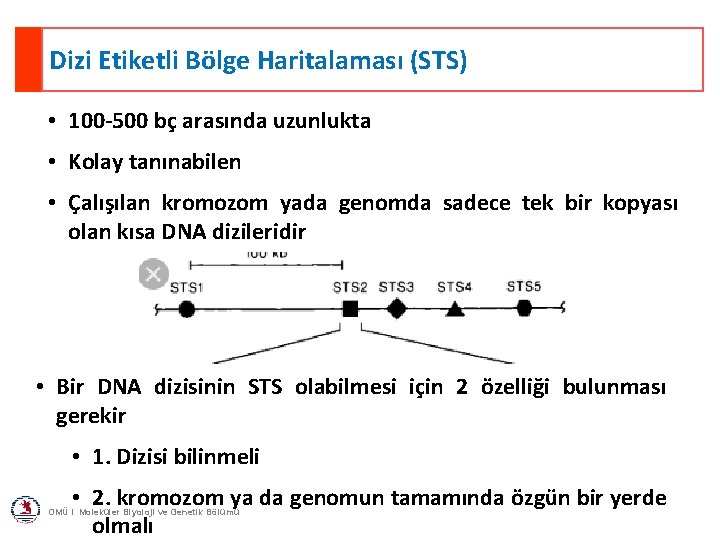 Dizi Etiketli Bölge Haritalaması (STS) • 100 -500 bç arasında uzunlukta • Kolay tanınabilen