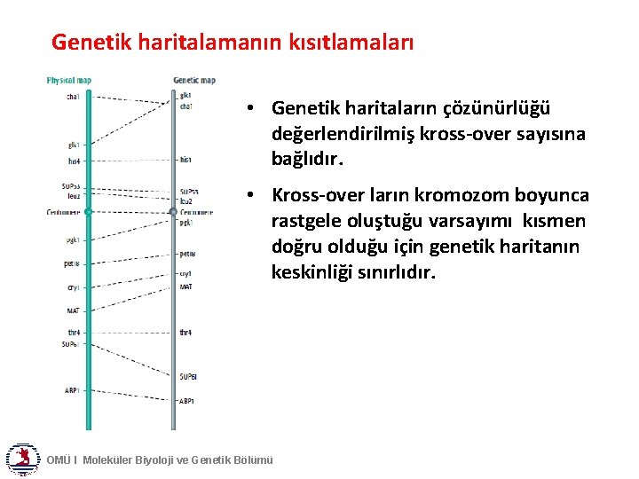 Genetik haritalamanın kısıtlamaları • Genetik haritaların çözünürlüğü değerlendirilmiş kross-over sayısına bağlıdır. • Kross-over ların