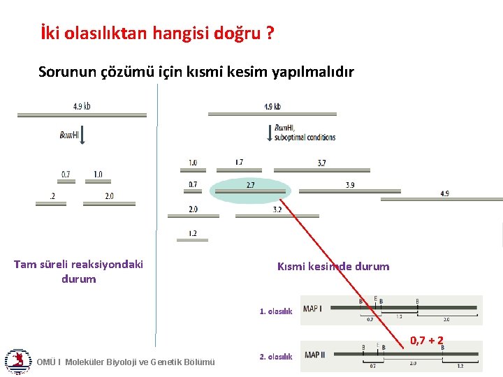 İki olasılıktan hangisi doğru ? Sorunun çözümü için kısmi kesim yapılmalıdır Tam süreli reaksiyondaki