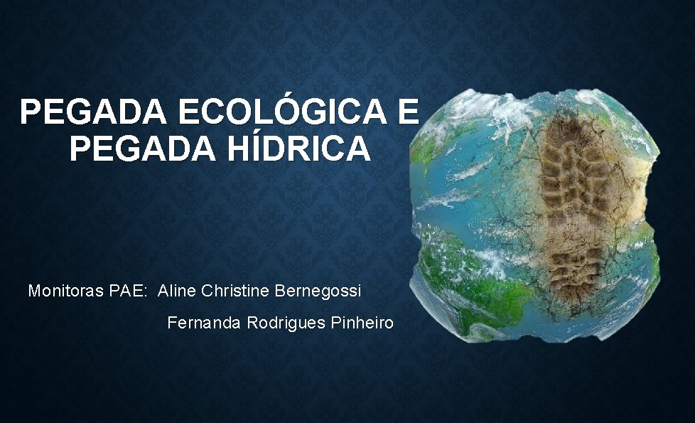 PEGADA ECOLÓGICA E PEGADA HÍDRICA Monitoras PAE: Aline Christine Bernegossi Fernanda Rodrigues Pinheiro 