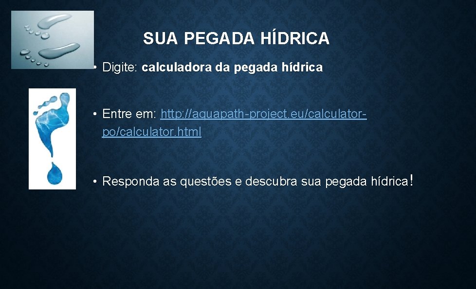 SUA PEGADA HÍDRICA • Digite: calculadora da pegada hídrica • Entre em: http: //aquapath-project.