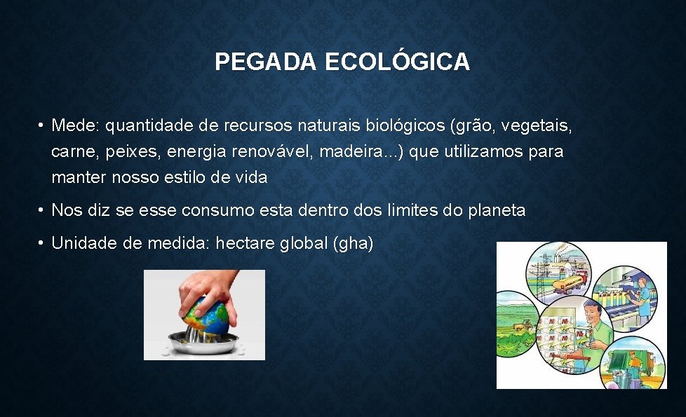 PEGADA ECOLÓGICA • Mede: quantidade de recursos naturais biológicos (grão, vegetais, carne, peixes, energia