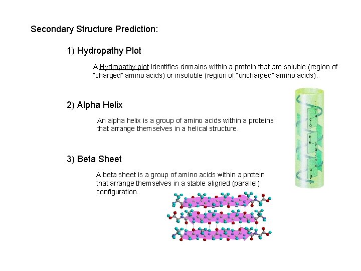 Secondary Structure Prediction: 1) Hydropathy Plot A Hydropathy plot identifies domains within a protein