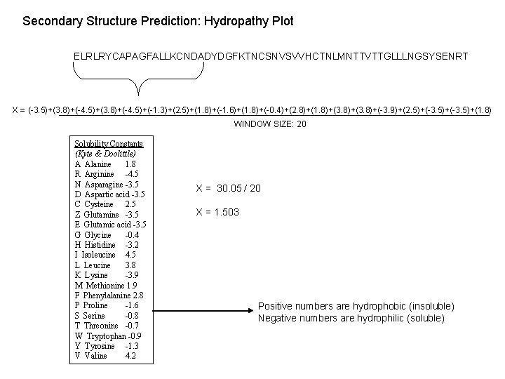 Secondary Structure Prediction: Hydropathy Plot ELRLRYCAPAGFALLKCNDADYDGFKTNCSNVSVVHCTNLMNTTVTTGLLLNGSYSENRT X = (-3. 5)+(3. 8)+(-4. 5)+(-1. 3)+(2. 5)+(1.