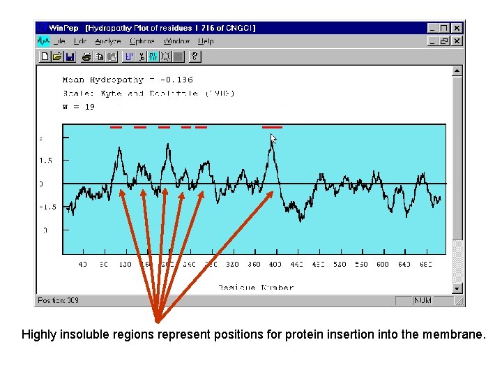 Highly insoluble regions represent positions for protein insertion into the membrane. 