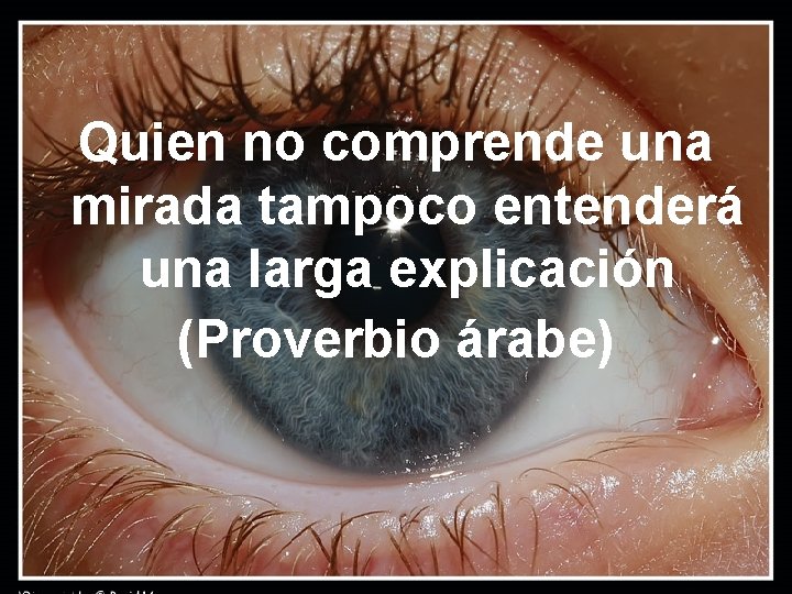 Quien no comprende una mirada tampoco entenderá una larga explicación (Proverbio árabe) 
