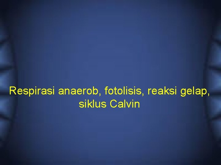 Respirasi anaerob, fotolisis, reaksi gelap, siklus Calvin 