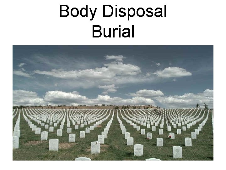 Body Disposal Burial 