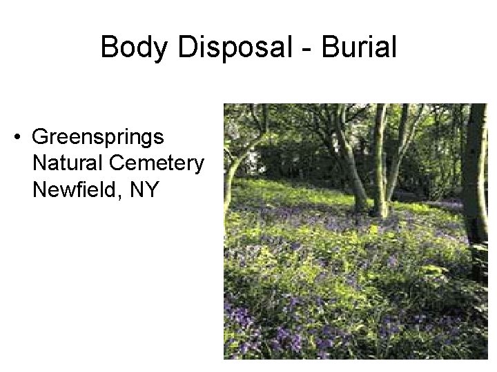 Body Disposal - Burial • Greensprings Natural Cemetery Newfield, NY 