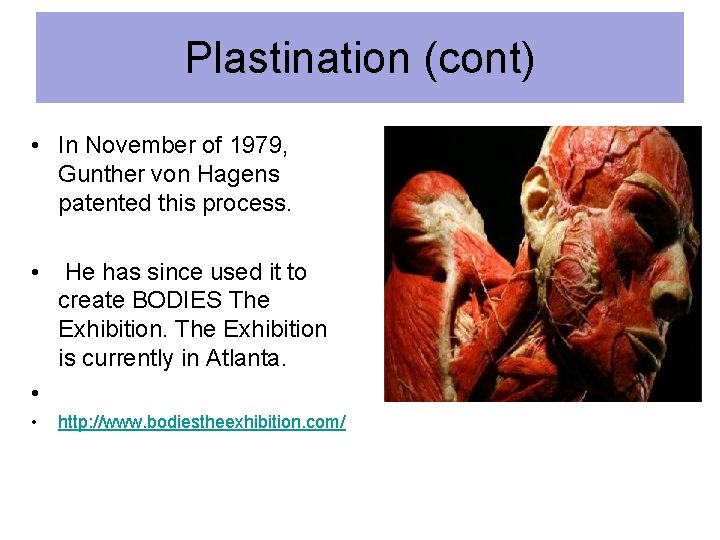 Plastination (cont) • In November of 1979, Gunther von Hagens patented this process. •