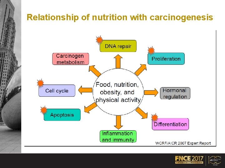Relationship of nutrition with carcinogenesis 