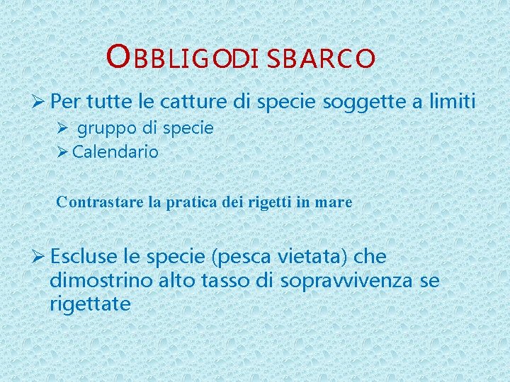 O BBLIGODI SBARCO Ø Per tutte le catture di specie soggette a limiti Ø