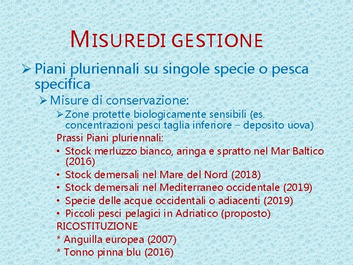 M ISURE DI GESTIONE Ø Piani pluriennali su singole specie o pesca specifica Ø