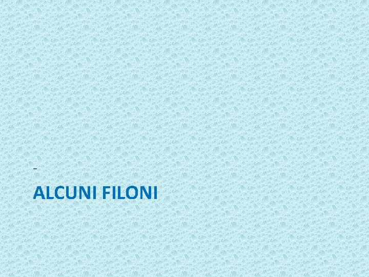 - ALCUNI FILONI 