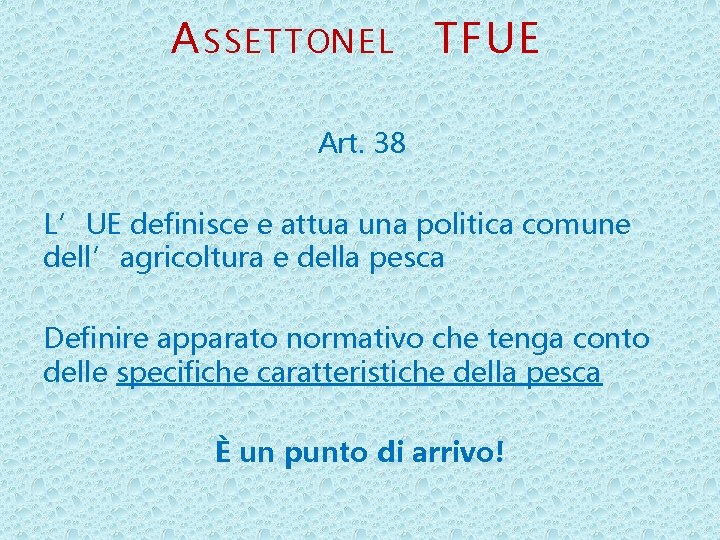 A SSETTONEL TFUE Art. 38 L’UE definisce e attua una politica comune dell’agricoltura e