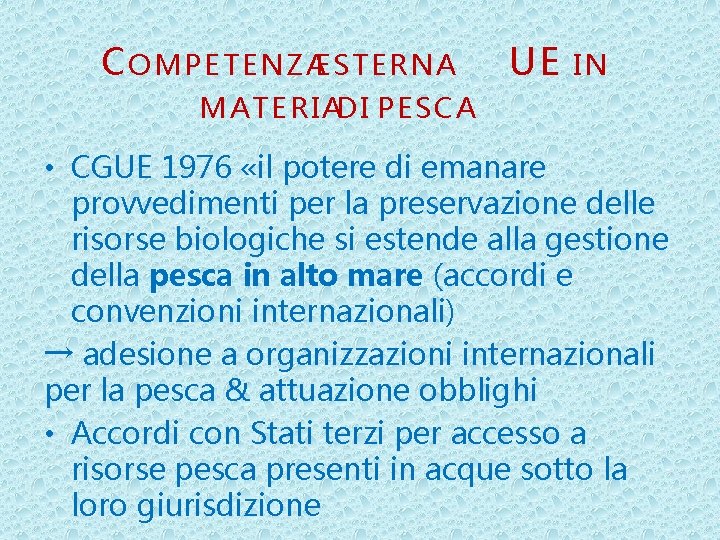 C OMPETENZAESTERNA UE IN MATERIADI PESCA • CGUE 1976 «il potere di emanare provvedimenti